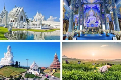 Scopri il tempio bianco, il tempio blu, il grande buddha e la piantagione di tè singha a chiang rai con guida locale. include pranzo, ingressi e pickup da chiang mai.