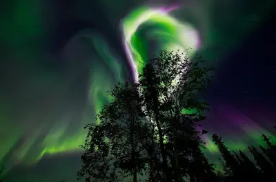 Aurores boréales tard le soir : Lumière du nord pour adultes à Levi