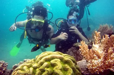 Immersioni a Nha Trang per principianti con pranzo incluso