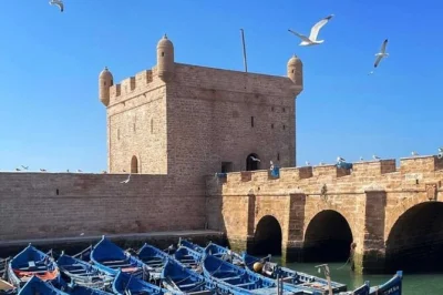 Partez de marrakech pour une journée complète à essaouira avec prise en charge à l’hôtel, guide local, déjeuner fruits de mer et visite de la médina classée unesco et de la forteresse skala.