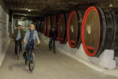 Explore moldova’s mileștii mici by bike, ride through the world’s largest wine cellars, taste local wines with bruschetta, and enjoy a live folk show. includes pickup.