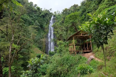 Experience moshi’s materuni waterfall, join a local coffee tour, and relax at kikuletwa hot springs. includes hotel pickup, lunch, and a friendly guide.