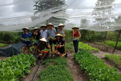 Experience a hands-on saigon cooking class with local chef, organic farm visit, ingredient picking, and lunch. includes hotel pickup and all activities.