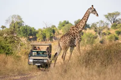 Mosi-oa-Tunya National Park game drive and rhino walk