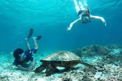 Snorkeling con le tartarughe a Gili Trawangan da Lombok
