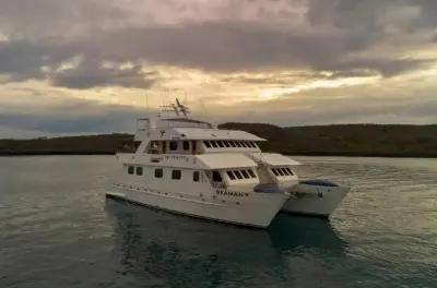 Snorkeling 5 jours aux Galapagos à bord du catamaran Seaman Journey