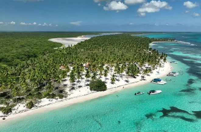 Saona Island Tour ab La Romana: Meeresschildkröten, Natural Pool