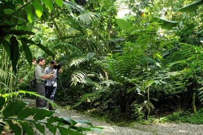 Découvrez le parc écologique danaus de la fortuna lors d’une balade guidée en pleine nature. observez paresseux, papillons, oiseaux et bien plus. prise en charge à l’hôtel, collations et guid