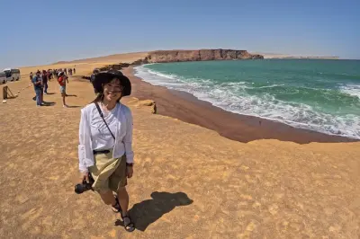 Paracas National Reserve: Private Führung, vier Strände