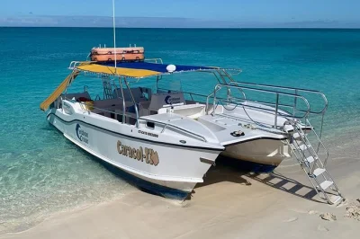 Scopri turks & caicos in barca privata con guida locale: snorkeling a emerald reef, visita a iguana island, pranzo a base di pesce alla griglia e relax a fort george cay.