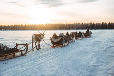 Experience a reindeer sleigh ride in finnish lapland, guided by locals. includes transfers from rovaniemi, winter clothing, stories, and warm drinks in the forest.