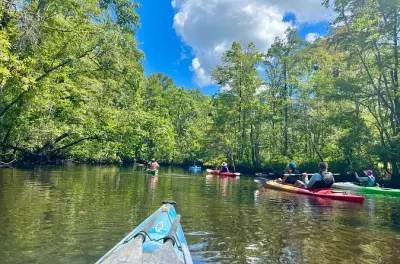Blackwater Creek bei Charleston: Kajak und 1000-jährige Zypressen
