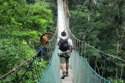 Tambopata jungle tour: Canopy, caimans, Lake Sandoval