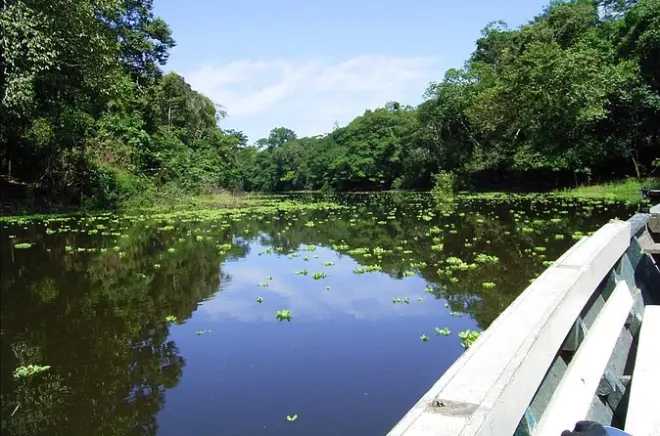 Tambopata 4 jours depuis Puerto Maldonado : Lac Sandoval