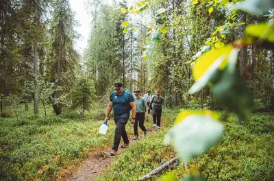 Passeggiata nei boschi di Rovaniemi con raccolta bacche e pancake