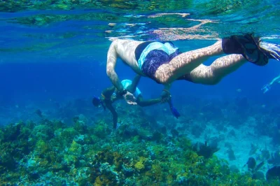 Experience negril’s coral reef by glass bottom boat, snorkel with a local guide, relax on booby cay island, and enjoy fresh grilled seafood. includes pickup.