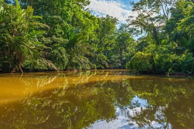 Experience limon’s tortuguero canals by boat, visit a working banana plantation, and explore local culture with a bilingual guide. includes port pickup.