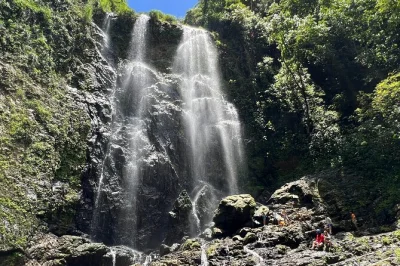 Camina por un sendero oculto en bayamón, nada en una cascada secreta de puerto rico y conecta con locales. tour en grupo pequeño con transporte, guía y equipo de seguridad incluidos.