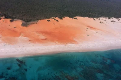 Erlebe die dampier peninsula ab broome mit lokalem guide, besuchen bei aboriginal-gemeinschaften, einem vom koch zubereiteten mittagessen und optionalem rückflug. inklusive abholung.