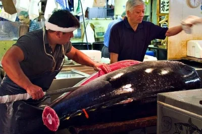 Descubra os mercados de peixe tsukiji e toyosu em tóquio, prove comidas de rua e mergulhe na cultura local com um guia licenciado. roteiro flexível e personalizado.