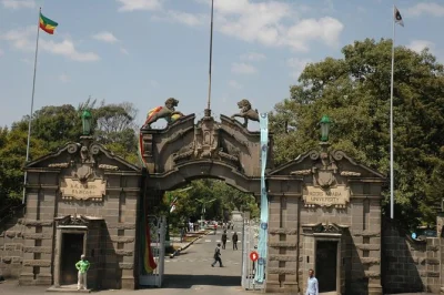 Explore addis ababa’s museums, entoto mountain, and merkato market on a private city tour with a local guide. includes hotel pickup, entry fees, and flexible stops.