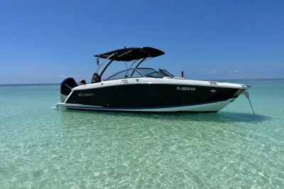 Experience key largo’s wildlife by boat, spot dolphins and manatees, relax with a local captain, and enjoy drinks from the tiki bar before your tour departs.