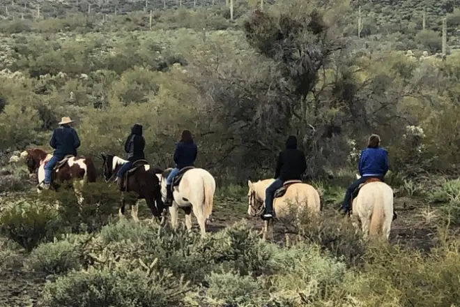 Equitazione vicino a Phoenix: Passeggiate tranquille con guida