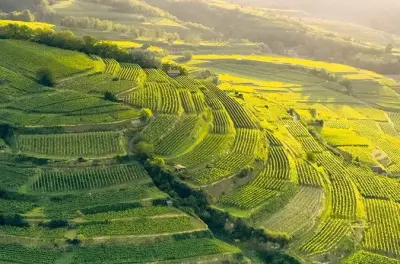 Private Wein-Tour Elsass: Verborgene Dörfer & lokale Winzer