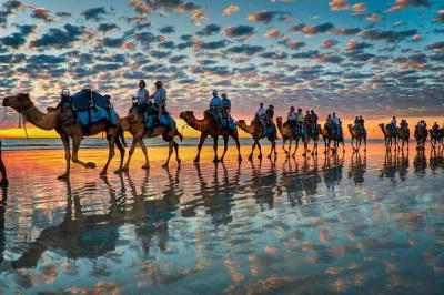 Experience a camel ride by the souss river in agadir, guided by locals, with a sunset barbecue and couscous dinner. includes hotel pickup and all meals.