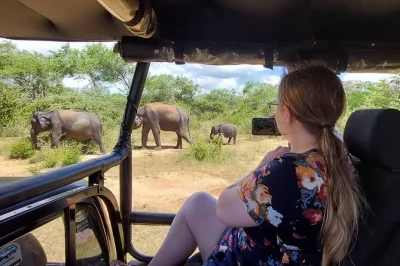 Experience a private udawalawe safari from colombo or negombo with local guide, close-up elephant encounters, and all transport included for a seamless day trip.