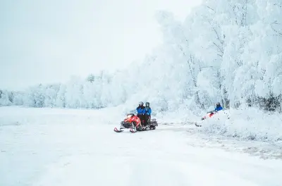 Safari in motoslitta a Rovaniemi: Esplora i primi sentieri invernali