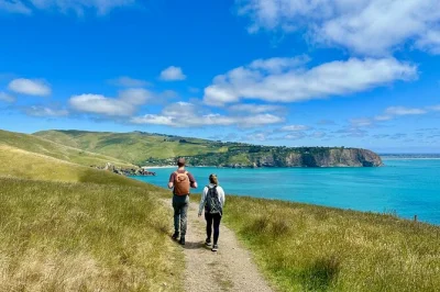 Erkunde die godley head rundwanderung bei christchurch mit lokalem guide, entdecke wwii-stätten, beobachte tiere und genieße ein picknick am meer. inkl. hoteltransfer.