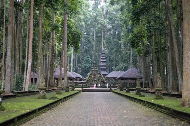 2-tägige private Bali-Tour: Tempel, Vulkan & Reisterrassen