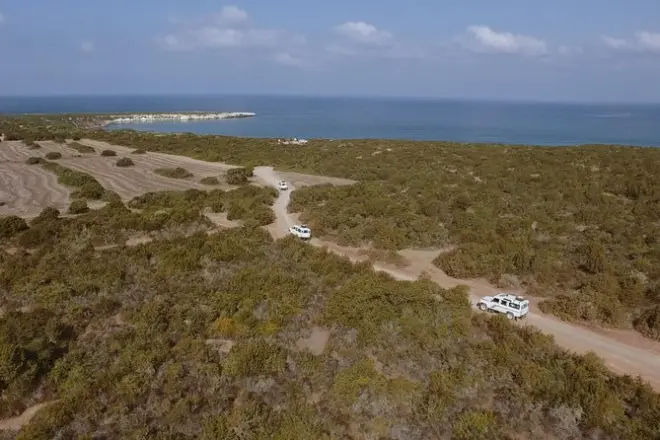 Akamas Jeep Tour from Limassol: Off-Road to Gorge & Turtle Beach