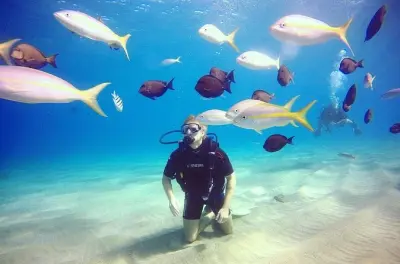 Plongée sous-marine en République dominicaine : Votre baptême