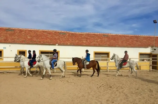 Cavalgada no parque Calblanque com cavalos calmos para iniciantes