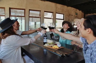 Experience a guided tour of rondo del valle winery in valle de guadalupe, taste 5 wines, and explore the underground cellar with local insights. includes accessible options.