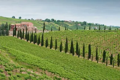 Wine tasting in Castilenti: San Lorenzo vineyard & cellar