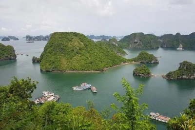 Entdecke die beeindruckenden kalksteininseln der halong bay, erkunde die sung sot höhle, paddel im kajak um luon cave und entspann am titop beach – mit mittagessen und hafen-shuttle inklusive.