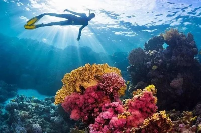 Swim and snorkel at giftun island near hurghada. includes yacht cruise, lunch, gear, and transfers. explore coral reefs and relax on sandy beaches.