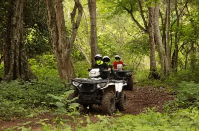 Balade en quad tandem à Bucerias : Sentier jungle La Tigra