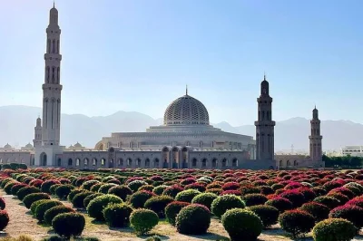 Explore muscat’s muttrah souk, al alam palace, and historic forts with a local guide. includes hotel pickup, bottled water, and comfortable transport.
