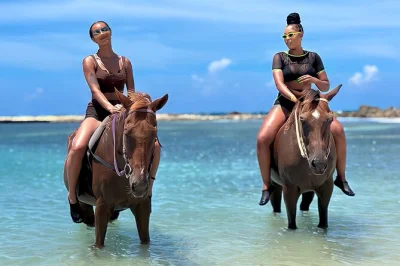 Experience bamboo rafting on the great river and horseback riding with a swim in montego bay, jamaica. includes private transport, local guide, and all fees.