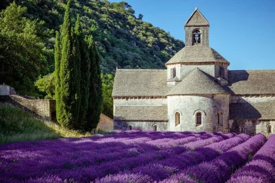 Wander sault’s lavender fields from avignon, visit a working distillery, taste local ice cream, and enjoy photo stops with a small group and guide—includes transport.