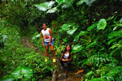 Explore ecuador’s bucay cloud forest, hike to three waterfalls, visit a traditional trapiche, and enjoy local lunch. includes private transport and hotel pickup.