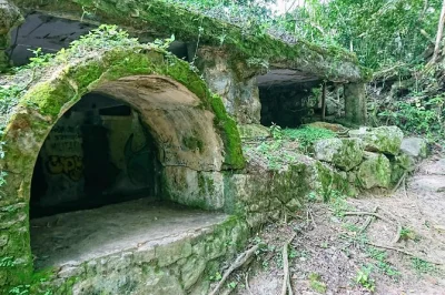 Découvrez l’histoire d’ilha grande lors d’une balade privée depuis vila do abraão, avec praia preta, des ruines du xixe siècle et une baignade dans une piscine naturelle. guide local agréé