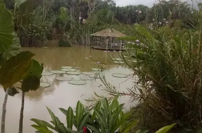 Full Day Amazon River Tour: Pink Dolphins & Monkeys