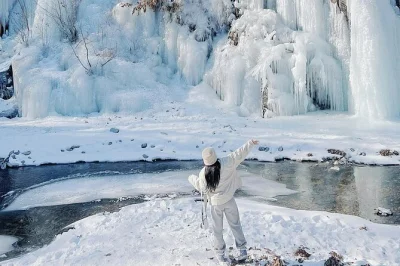 Entdecke nami island, die eiswand im eobi-tal und das lichterfest im garden of morning calm bei einem tagesausflug ab seoul. inklusive abholung, guide und eintritt.