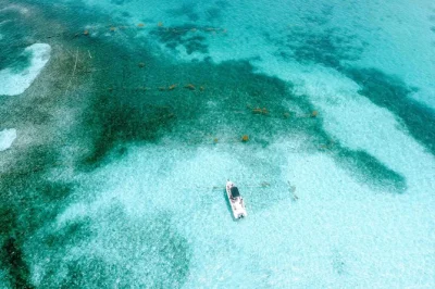 Explore martinique’s le françois by boat—visit josephine’s bath, spot iguanas on ilet chancel, swim in the white funds, and enjoy lunch. includes port pickup.