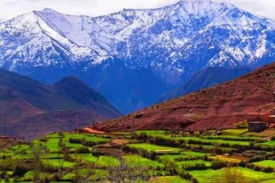 Découvrez la vallée de l’ourika et les montagnes de l’atlas au départ de marrakech, avec prise en charge à l’hôtel, guide local et visites des villages berbères et de setti fatma.